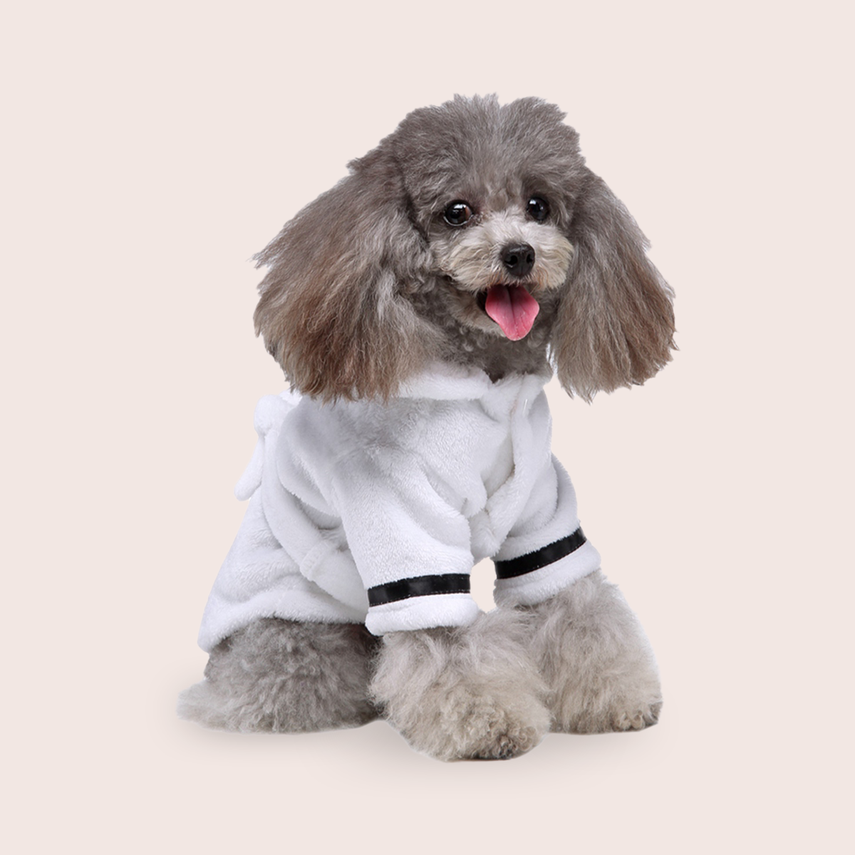 Petit Pup | Little Luxuries for Little Dogs